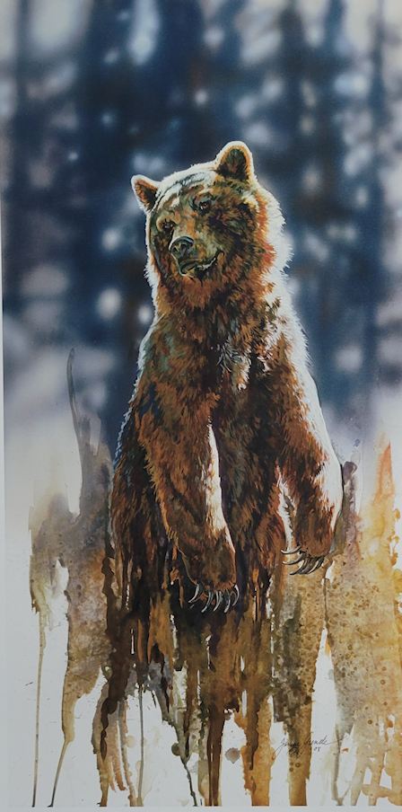 Up Close Grizzly